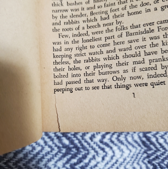 Robin Hood - Picture 2 of 6